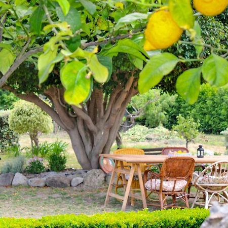 La Casa Di Lina - Capo D'Orlando, Casa Con Ampio Giardino Villa ภายนอก รูปภาพ