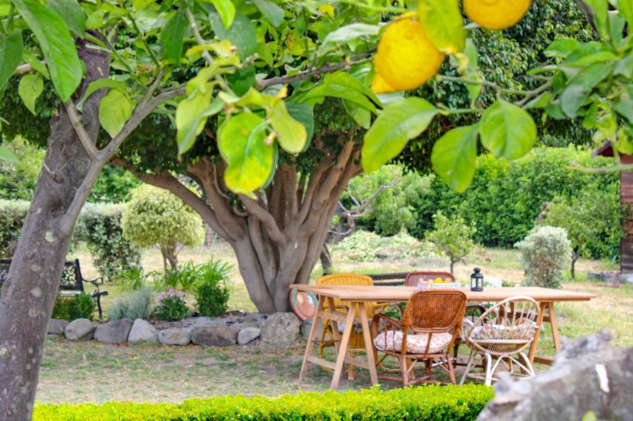 La Casa Di Lina - Capo D'Orlando, Casa Con Ampio Giardino Villa ภายนอก รูปภาพ
