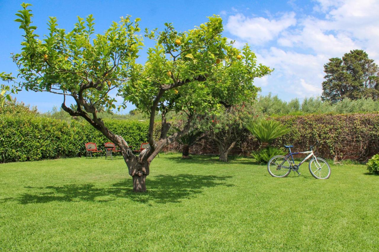 La Casa Di Lina - Capo D'Orlando, Casa Con Ampio Giardino Villa ภายนอก รูปภาพ