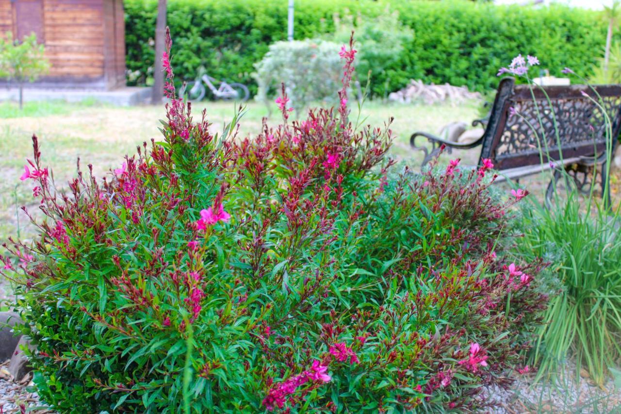 La Casa Di Lina - Capo D'Orlando, Casa Con Ampio Giardino Villa ภายนอก รูปภาพ