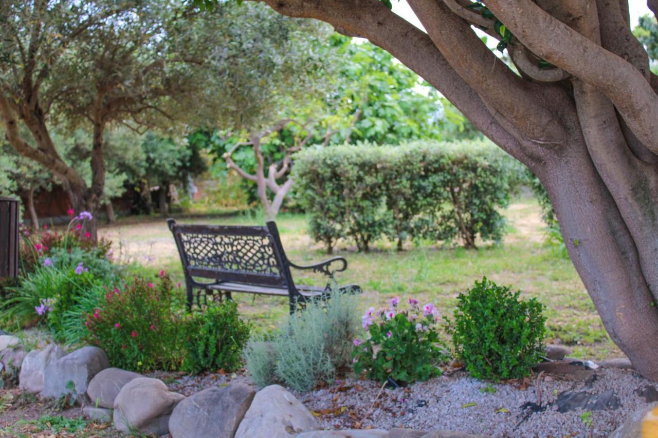 La Casa Di Lina - Capo D'Orlando, Casa Con Ampio Giardino Villa ภายนอก รูปภาพ
