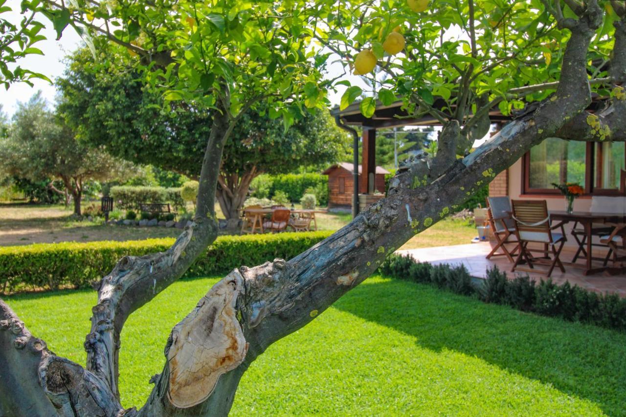 La Casa Di Lina - Capo D'Orlando, Casa Con Ampio Giardino Villa ภายนอก รูปภาพ